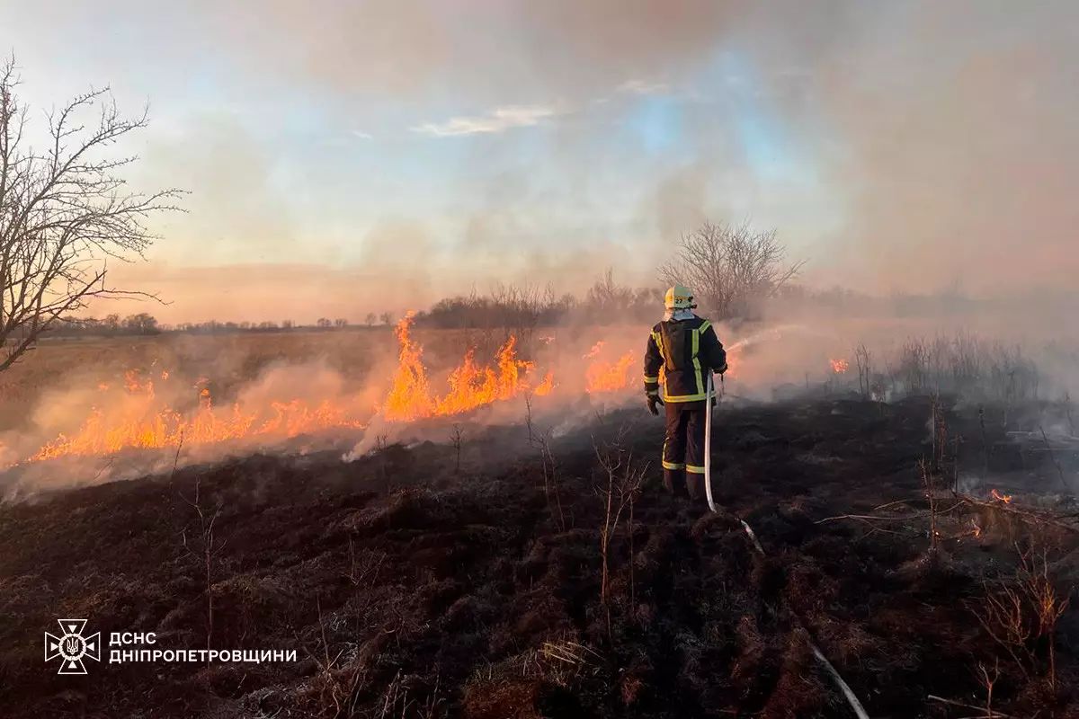 На Днепропетровщине за выходные сгорели более 150 га экосистем