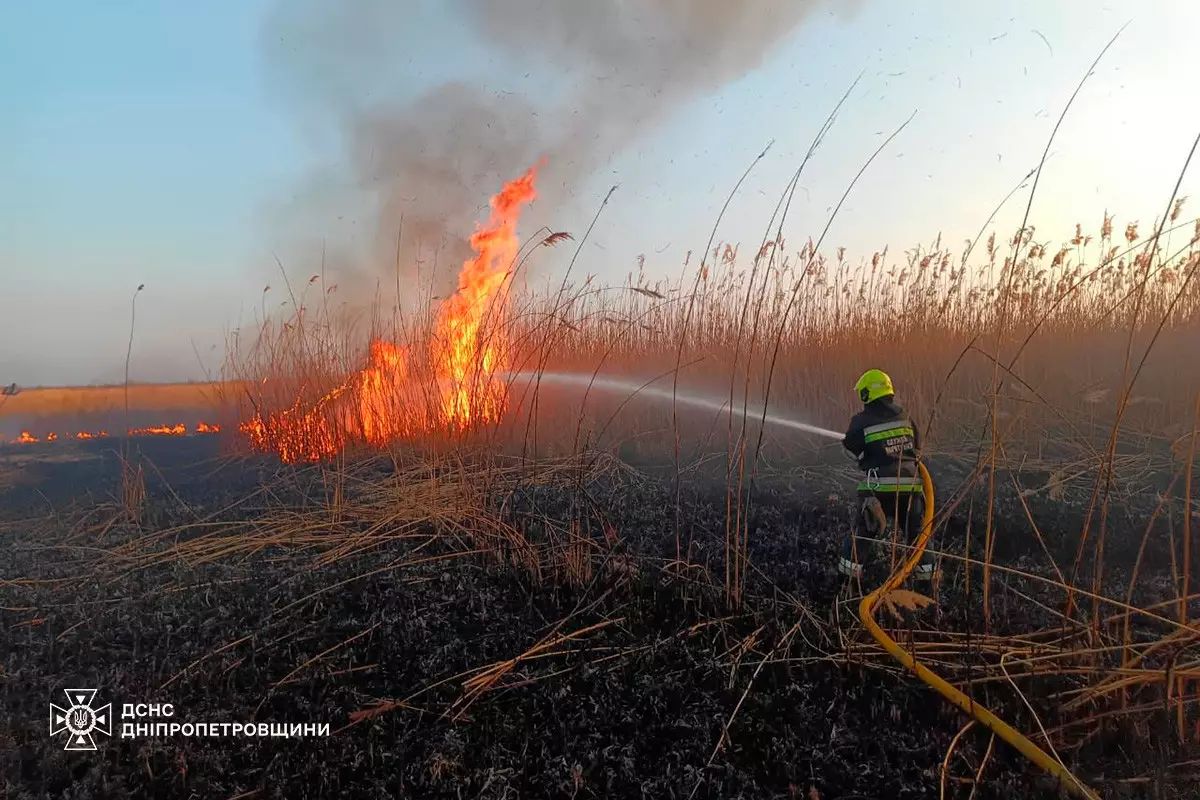 На Днепропетровщине за выходные сгорели более 150 га экосистем