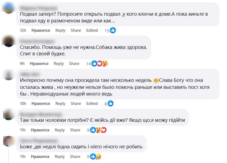 photo_2025-04-14_07-16-09