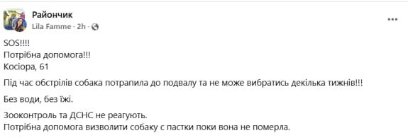 photo_2025-04-14_07-13-49