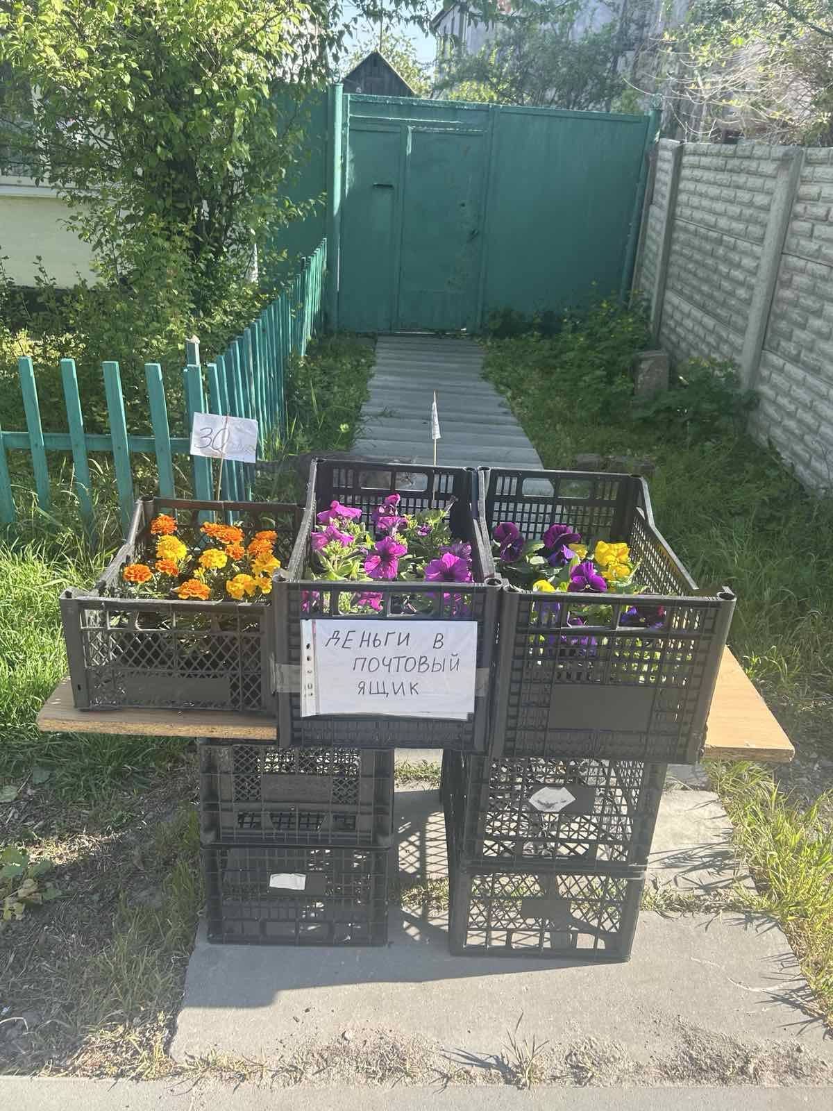 494348754_4040964286160294_5297473751448883951_н Продажа цветов