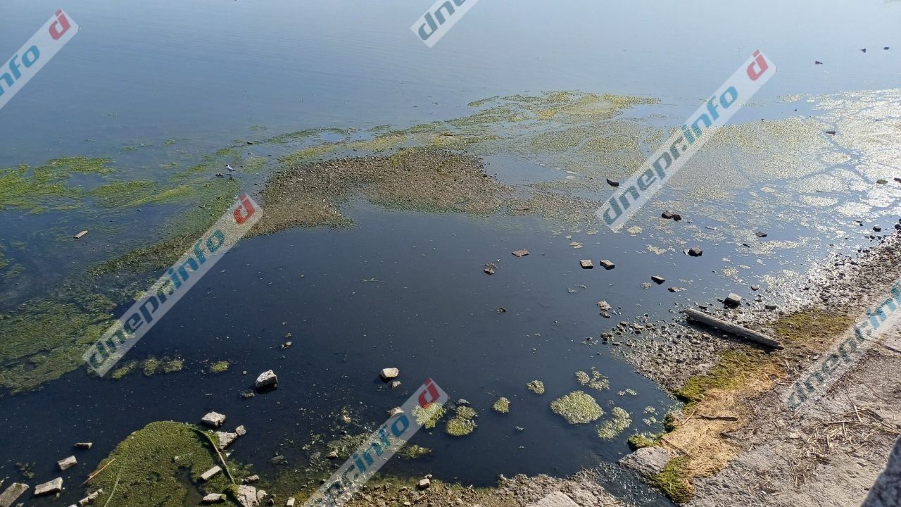 фото_2025-06-09_19-18-43 (2) Вода у Фестивального причала теперь зеленая
