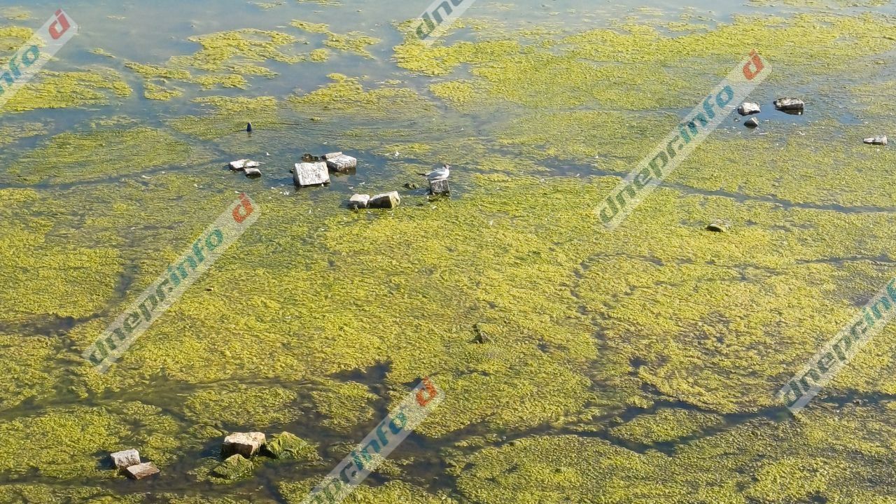 фото_2025-06-09_19-18-44 Вода отошла от берега на несколько метров