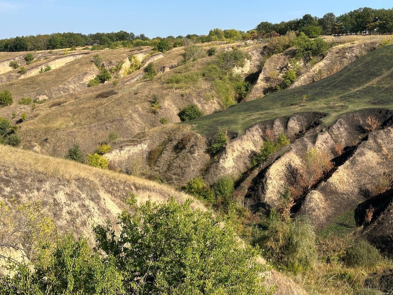 photo_2024-09-24_14-51-44 Балка Сажівка в Старих Кодаках.