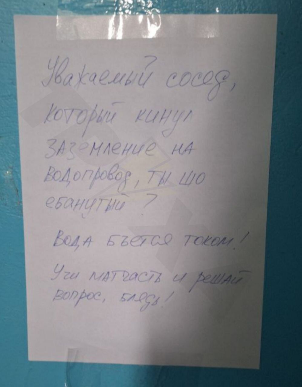 фото_2025-06-29 16_2