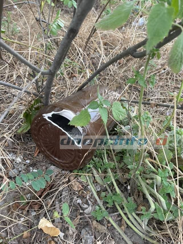 фото_2025-07-21_11-23-33 Урна лежала посреди зеленой зоны