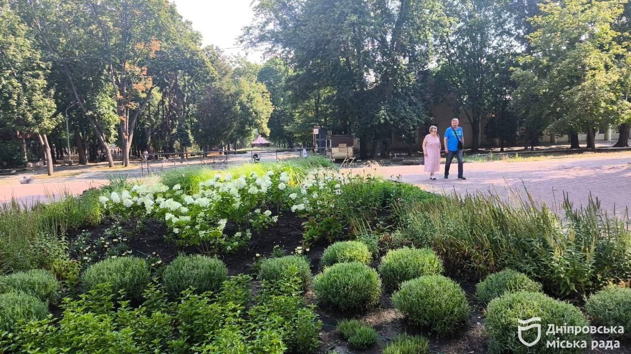 У парках та скверах Дніпра масово квітнуть гортензії: чарівні фото