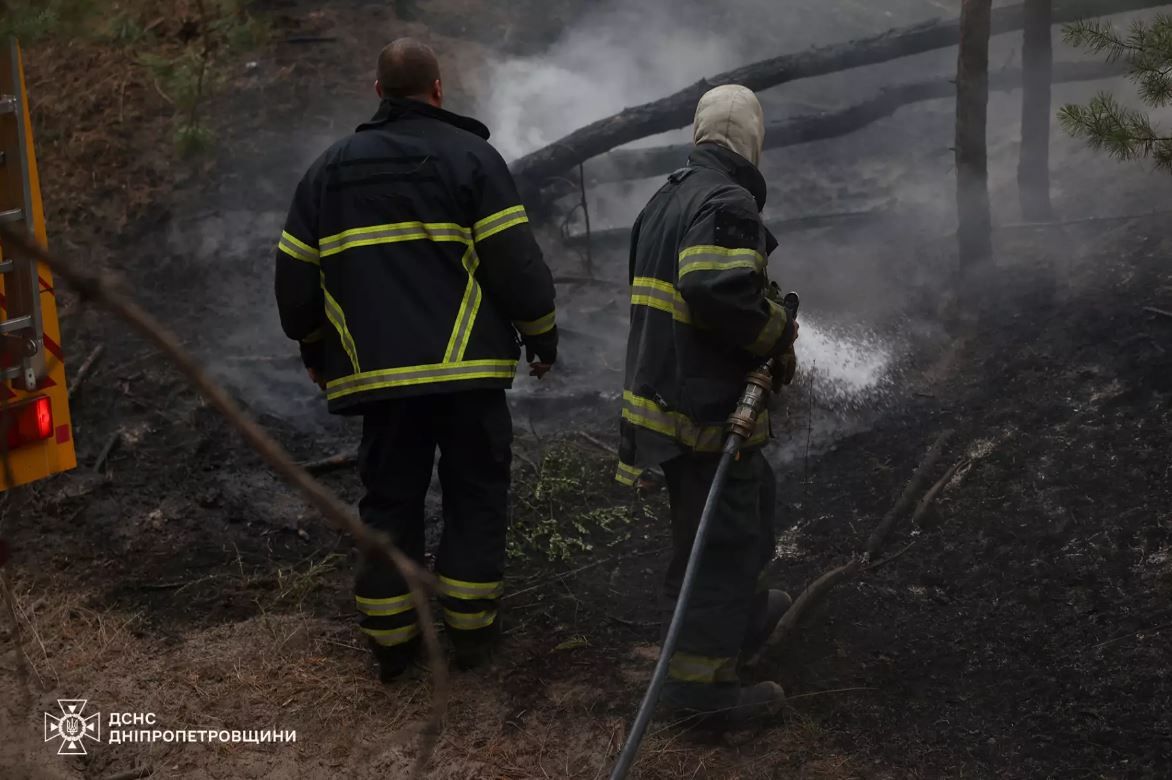 Горіло майже 10 га лісу