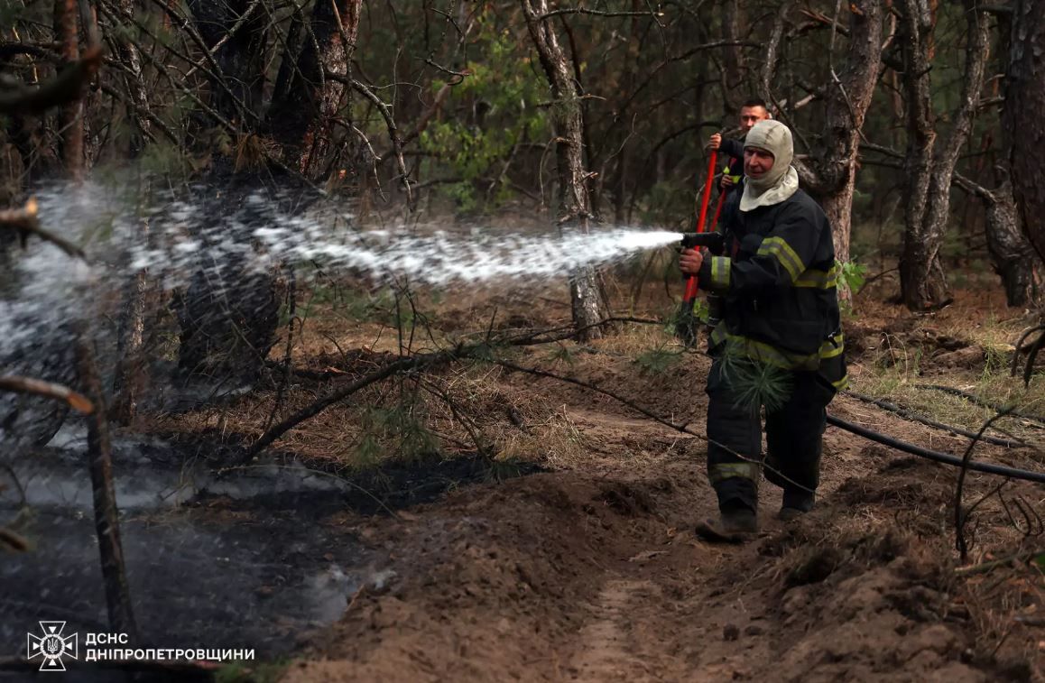 Рятувальники гасять пожежу