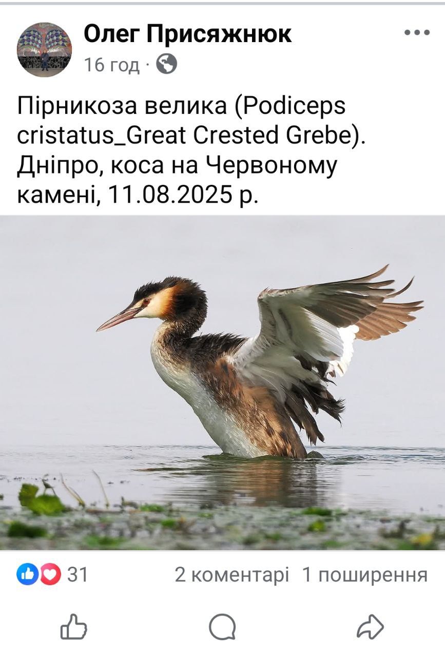 фото_2025-10-12_13-38-29