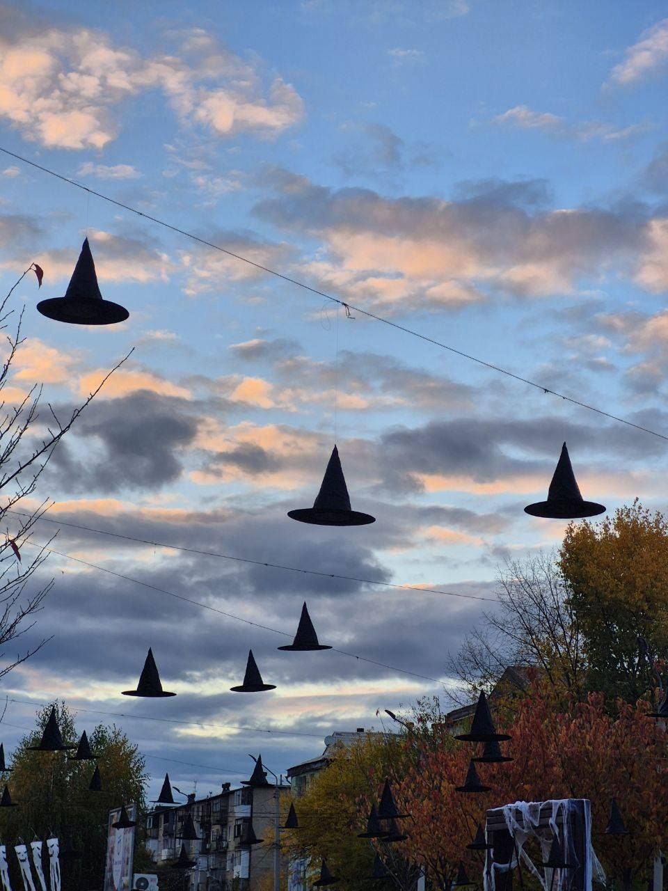 Ведьмские шляпы летают над головами