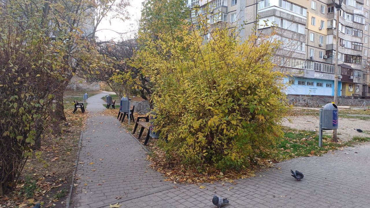 На территории зеленой зоны уже расположены 15 мусорников