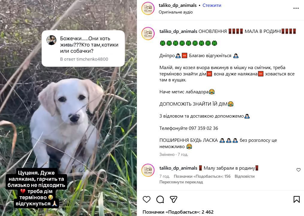 Допис волонтерів