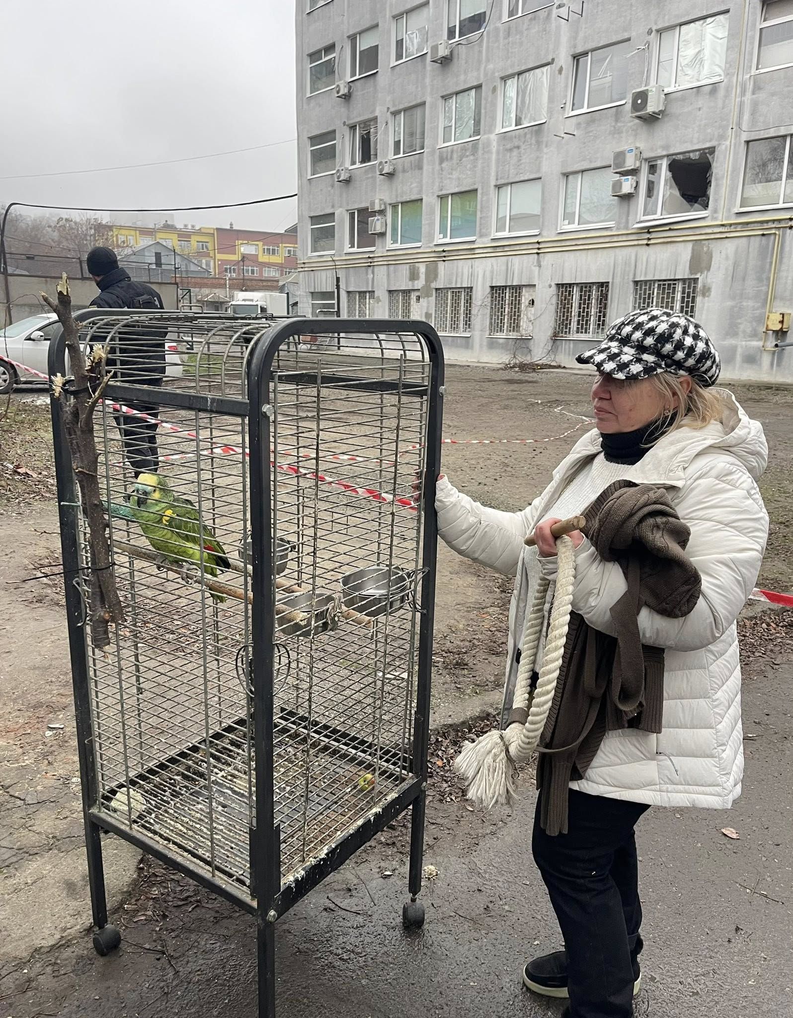 Попугай Дуся