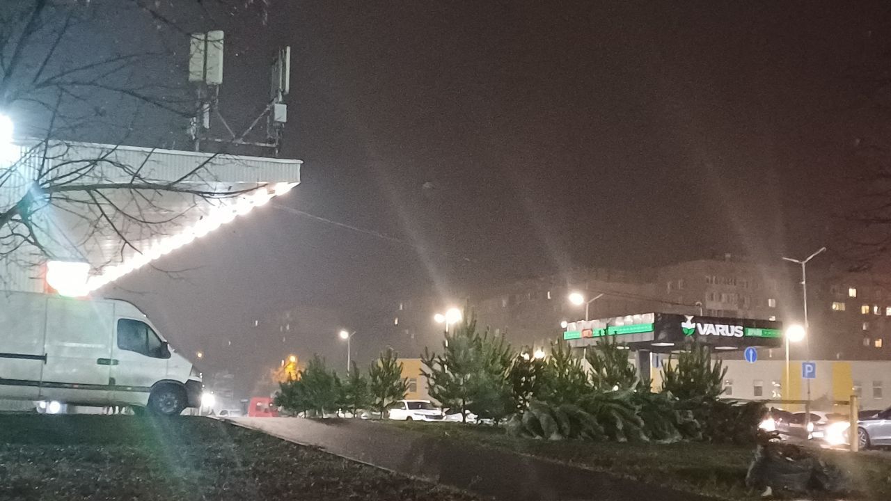 Точка з продажу ялинок