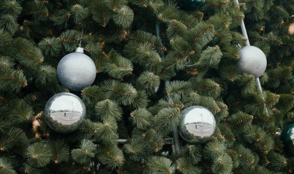 photo_2025-12-07_16-56-44 (3)