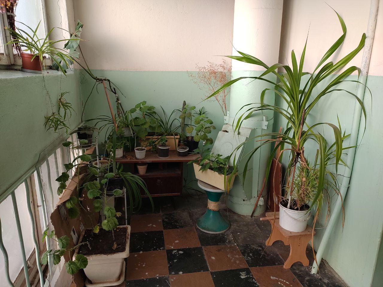 photo_2025-12-07_15-30-01 (5) Куточок з квітами