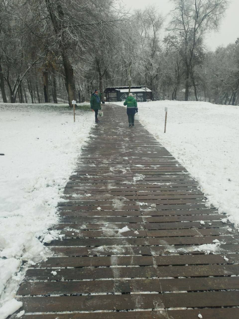 У Дніпрі вночі випав сніг: як виглядає місто зранку (фото)