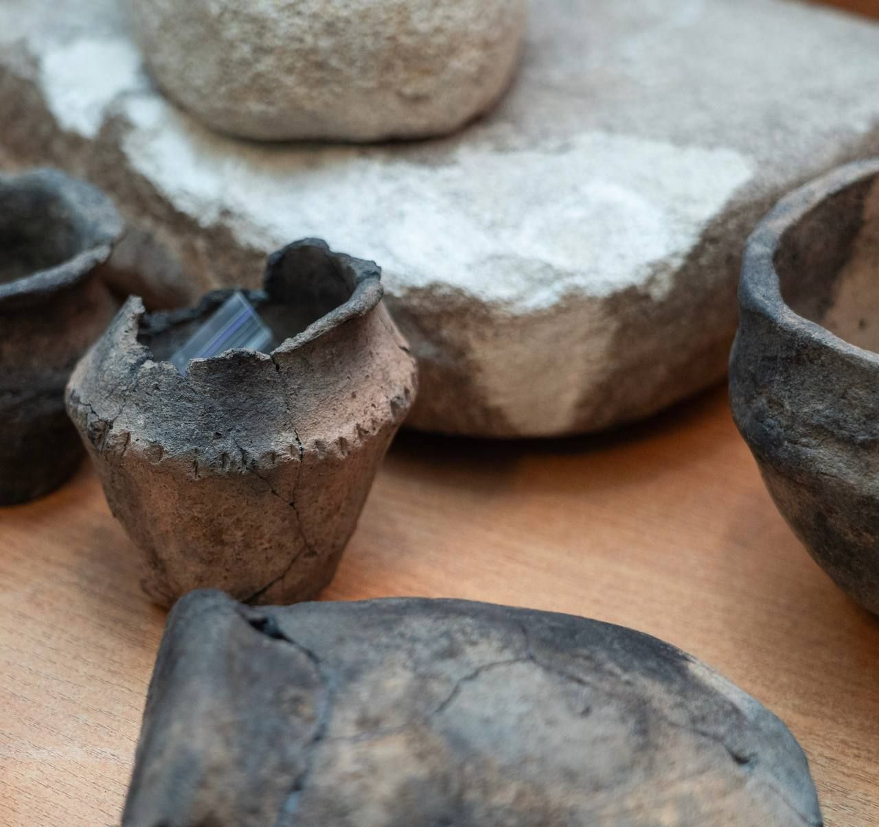 На Синельниковщине найден курган с детскими захоронениями и миниатюрными горшками