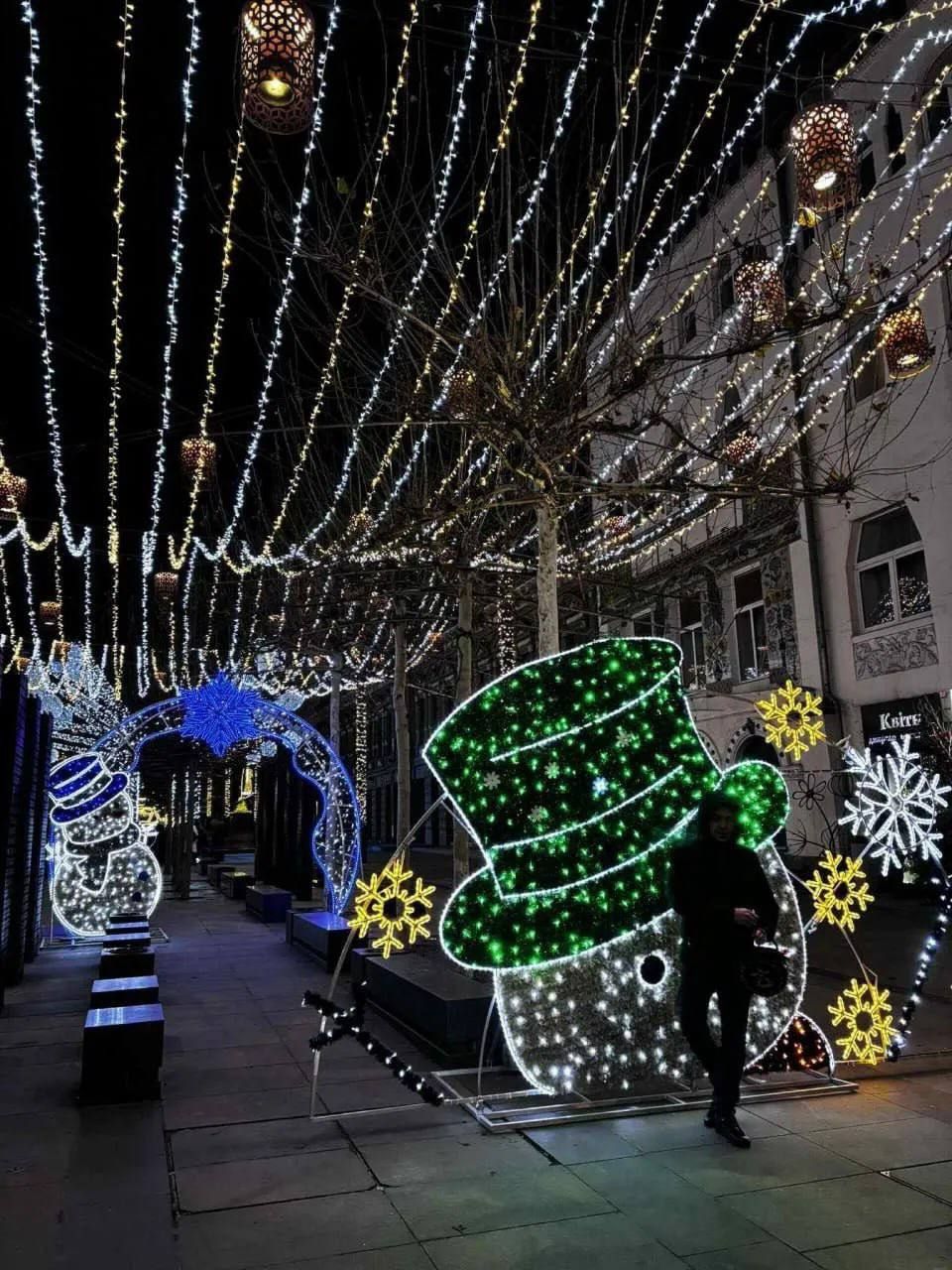 Снеговики из гирлянд встречают горожан