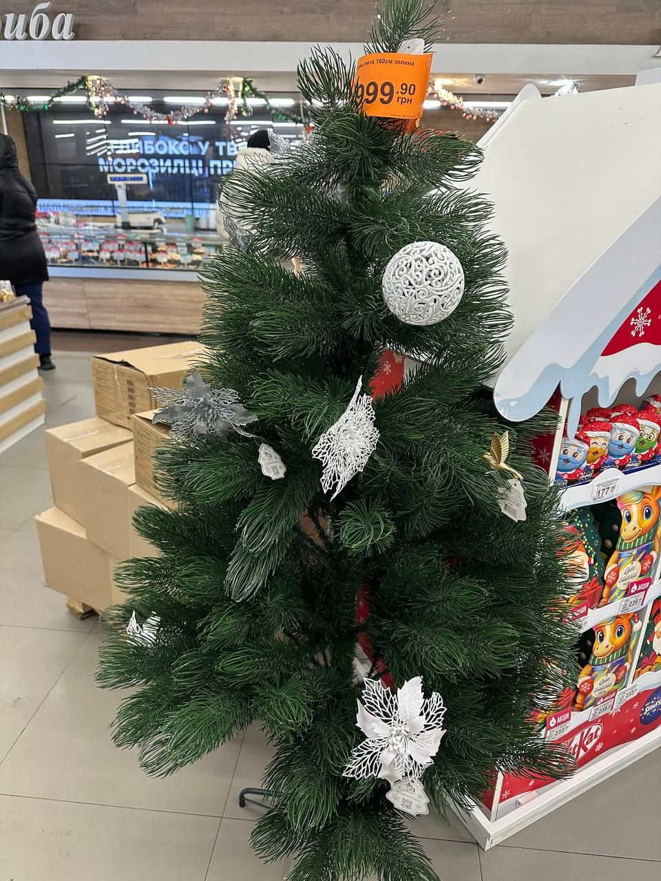 До 8 тисяч за дерево: у Дніпрі ціни на ялинки б’ють рекорди 
