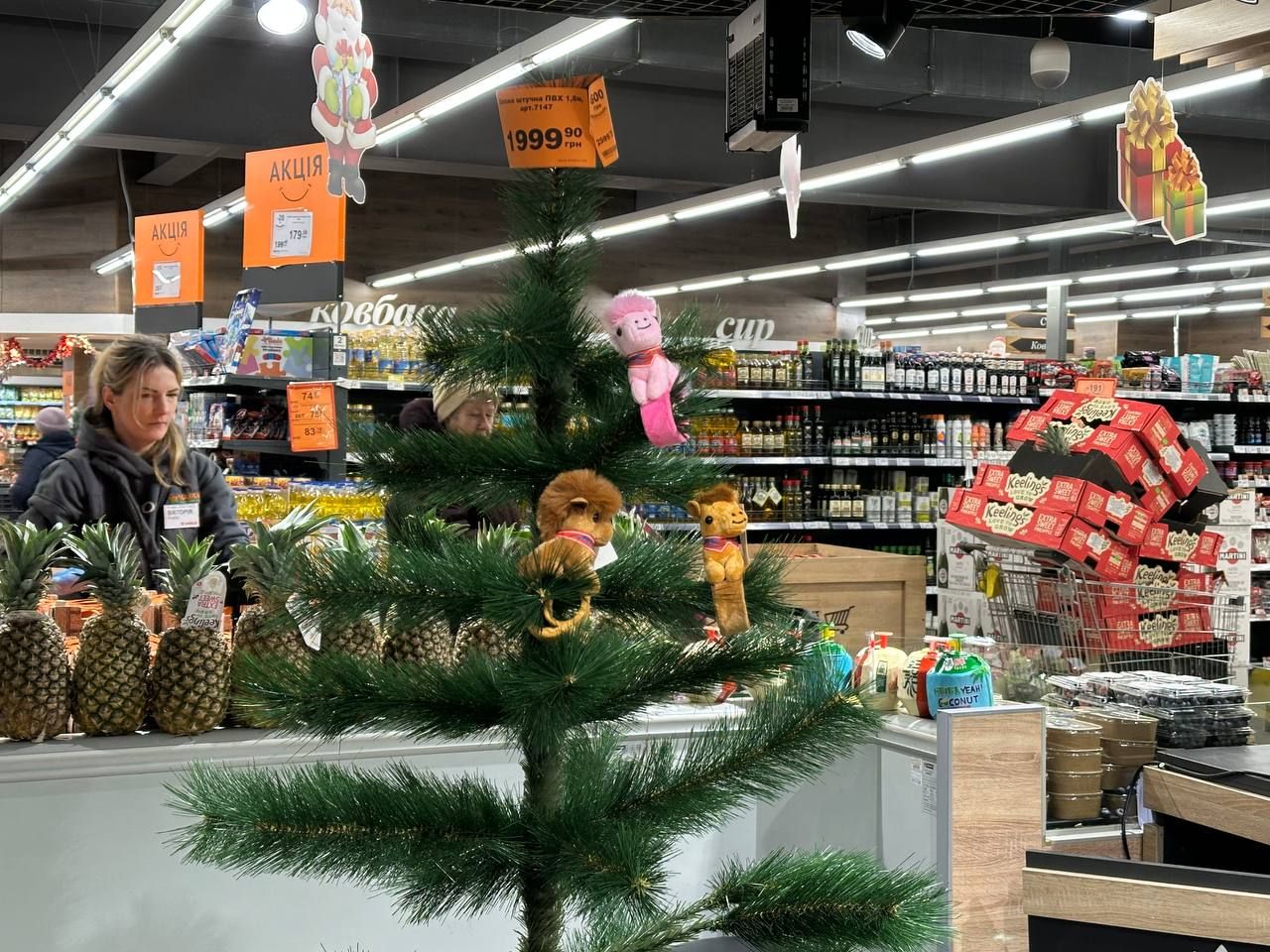 До 8 тисяч за дерево: у Дніпрі ціни на ялинки б’ють рекорди 