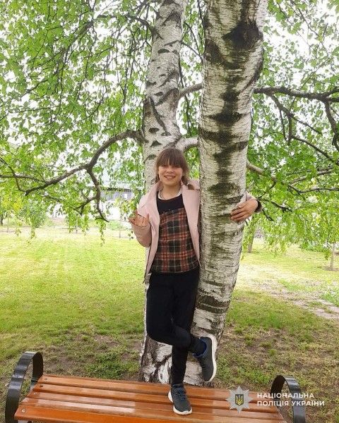 Зникла дівчинка