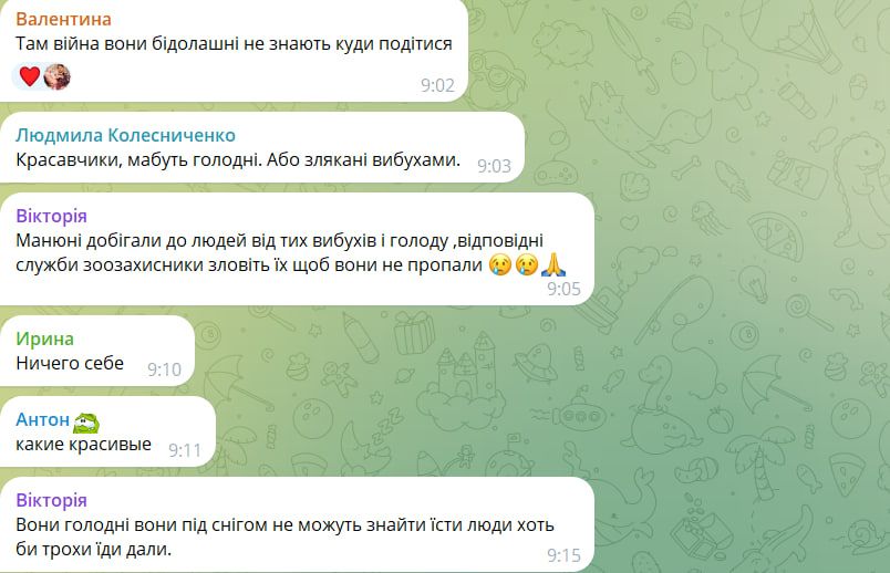 Реакция пользователей на оленей в Павлограде. Фото: скрин/"ДС"