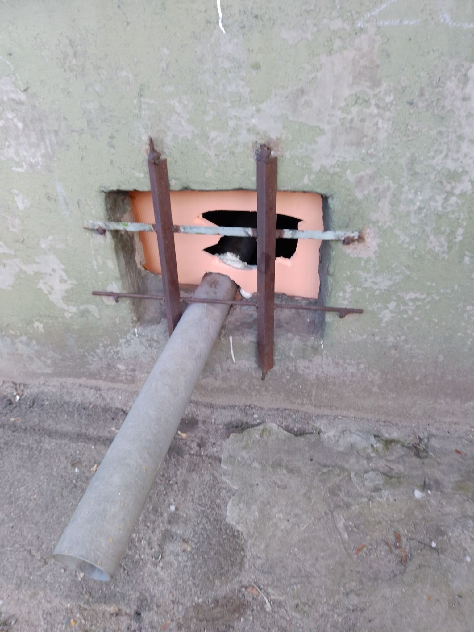 Котам заблокировали вход в подвал