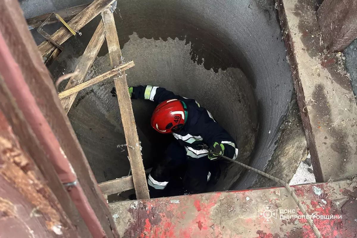 Спасатель спустился за котом