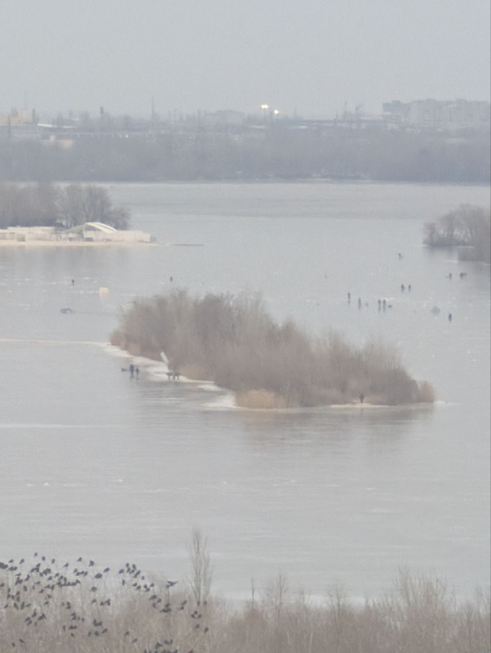 photo_2026-02-17_16-49-13 Рибалки на Дніпрі