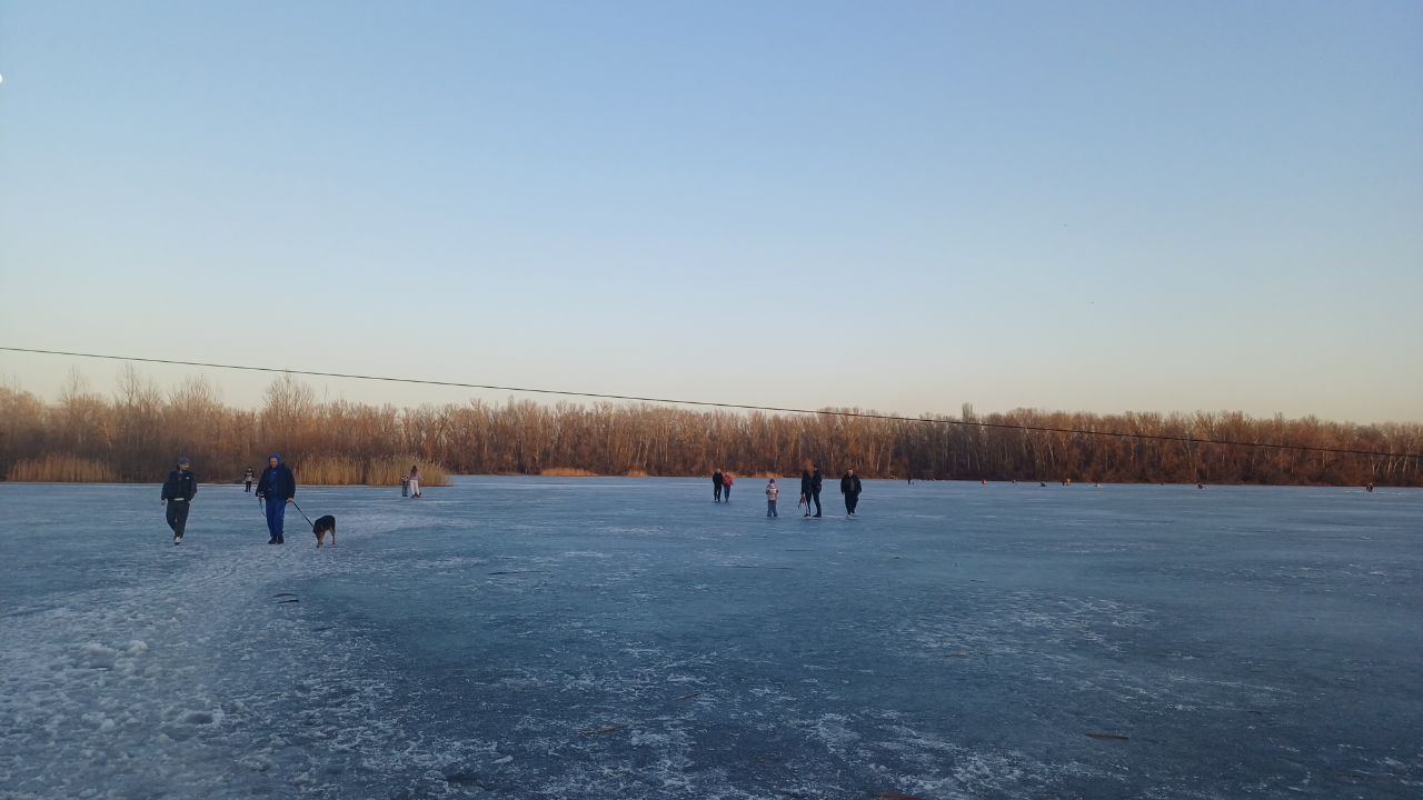 Люди вигулюють собак