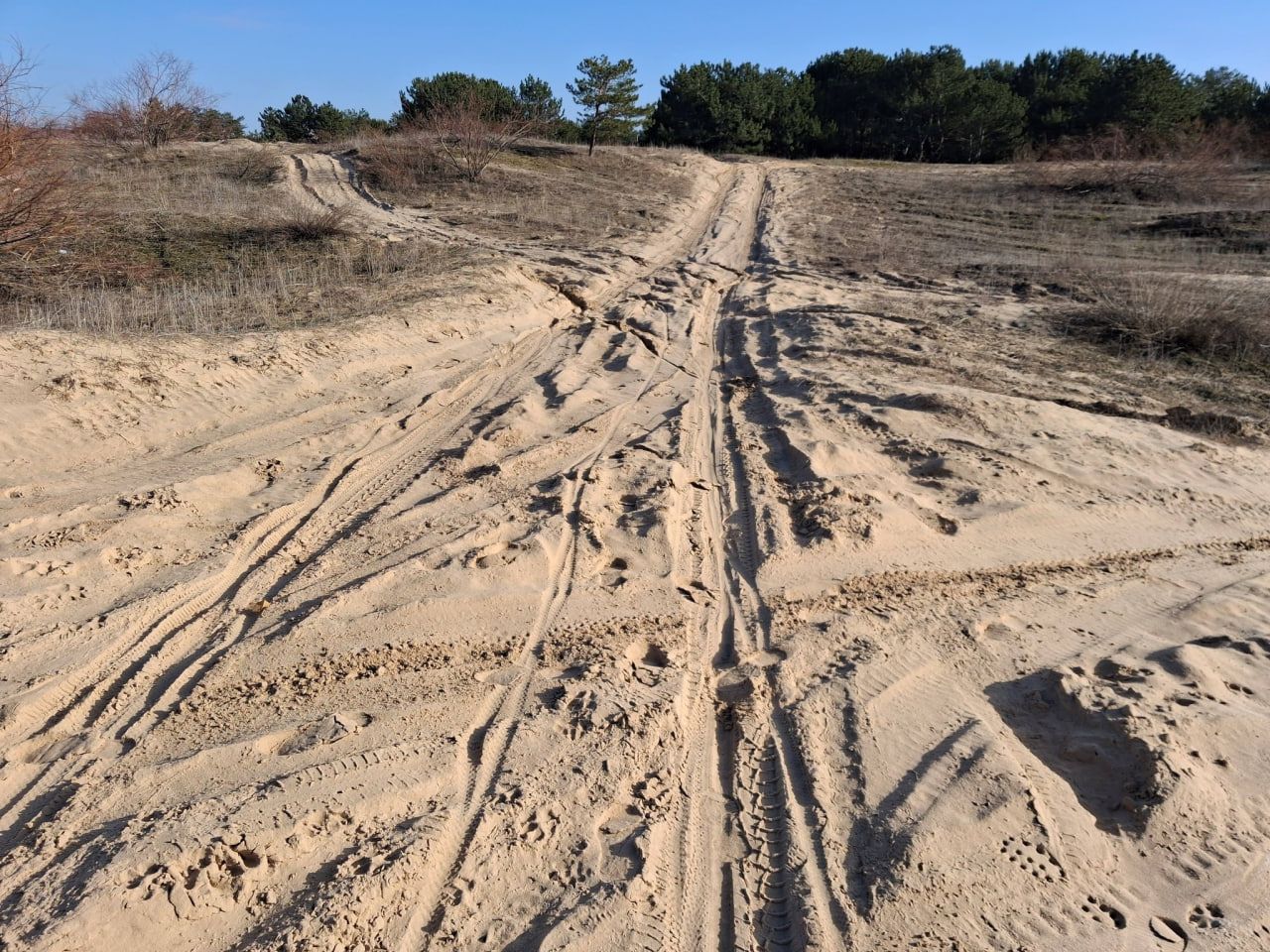 photo_2026-03-03_21-39-56 Сліди від колес