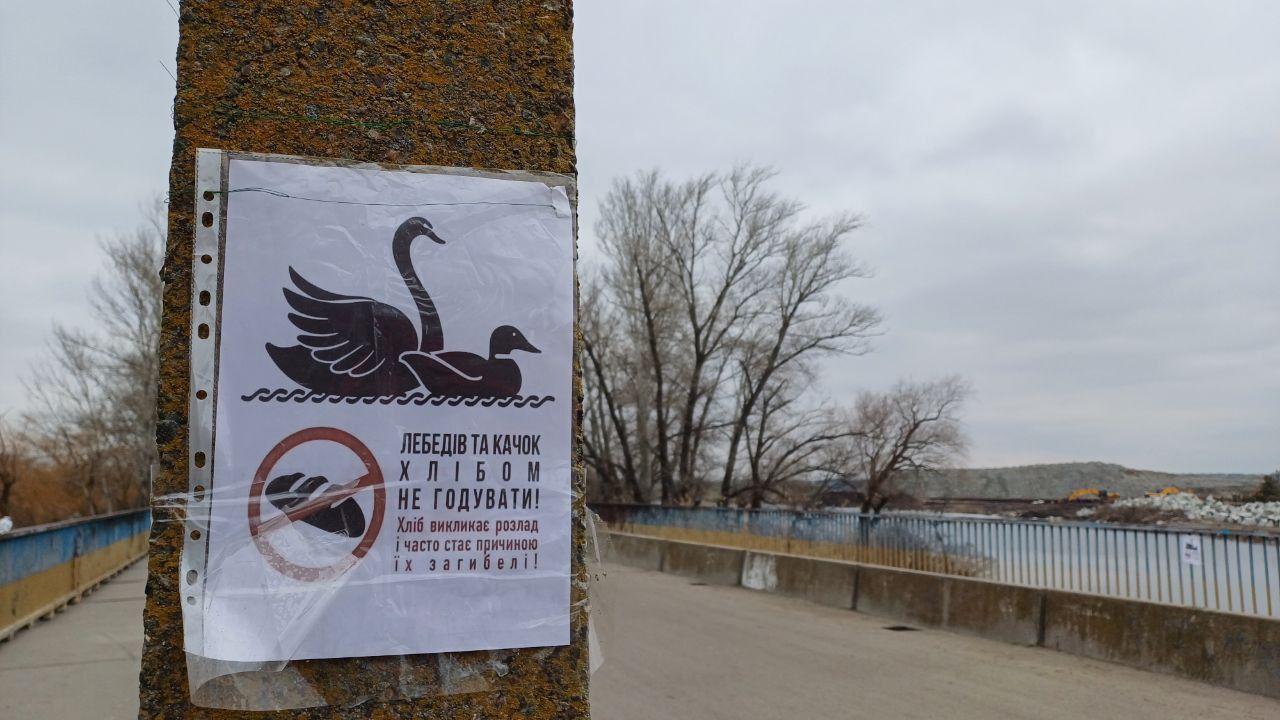 photo_2026-03-04_12-43-06 Таблички появились в местах, где часто бывают птицы