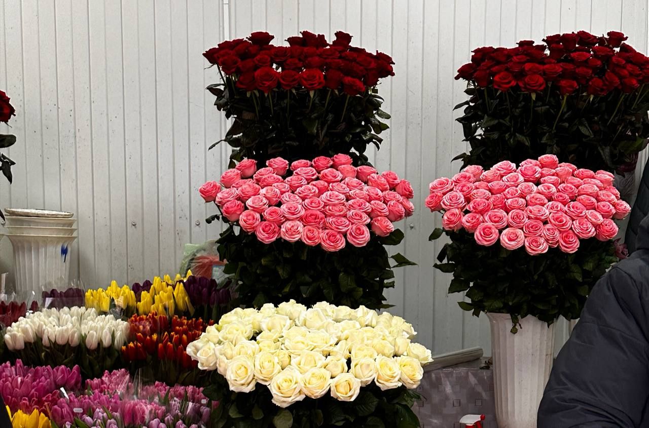 Розы. Фото: Dnepr.info