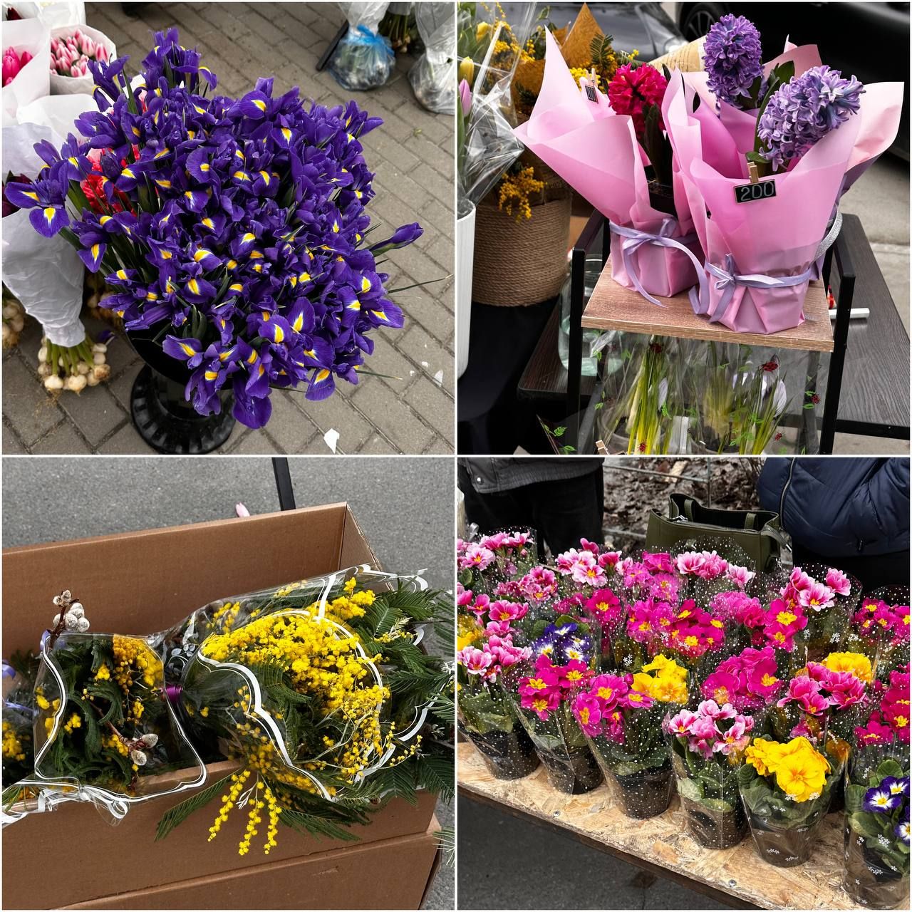 Первоцветы. Фото: Dnepr.info