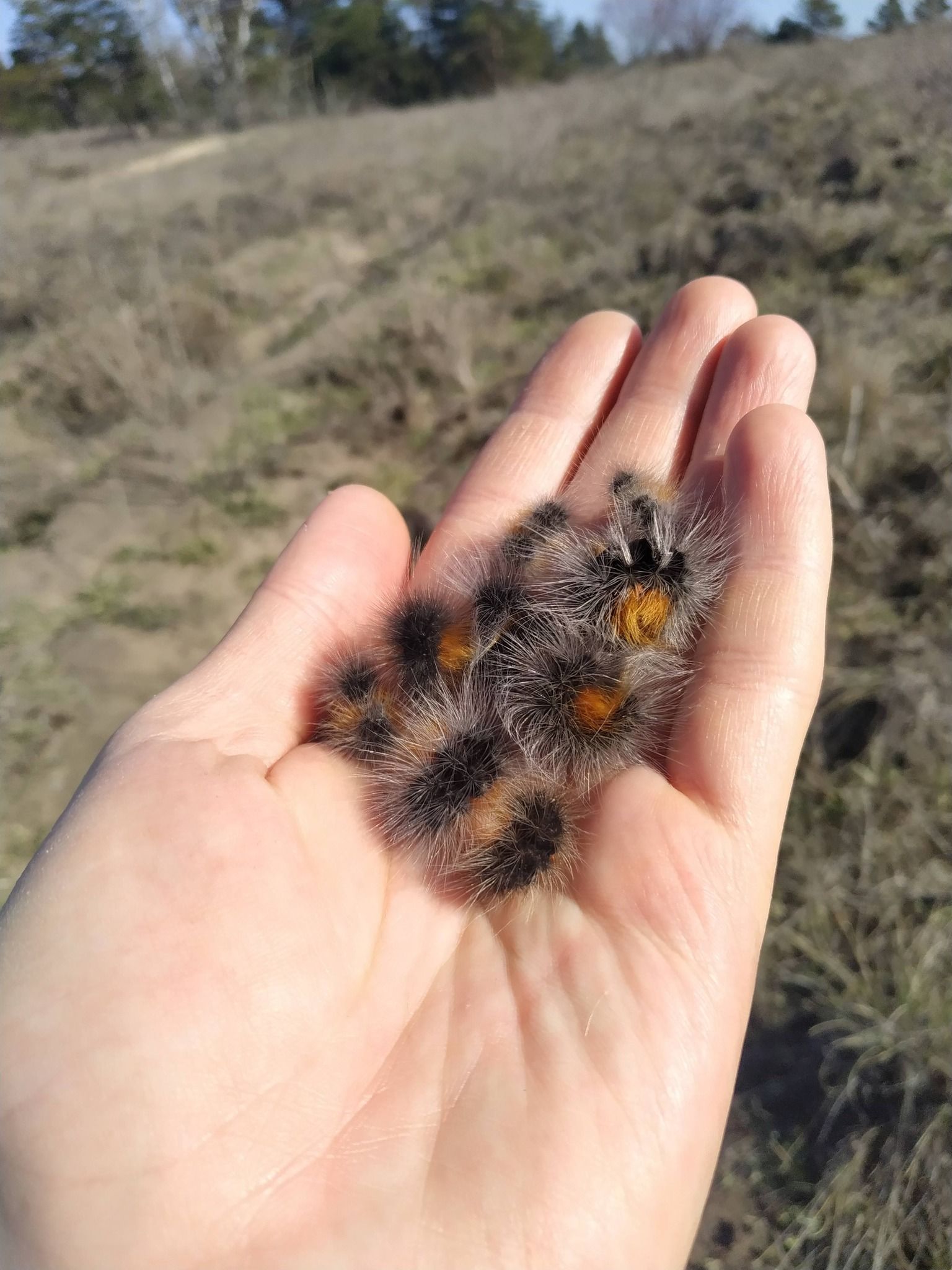 651751558_2032519427331980_5892869941482936159_n