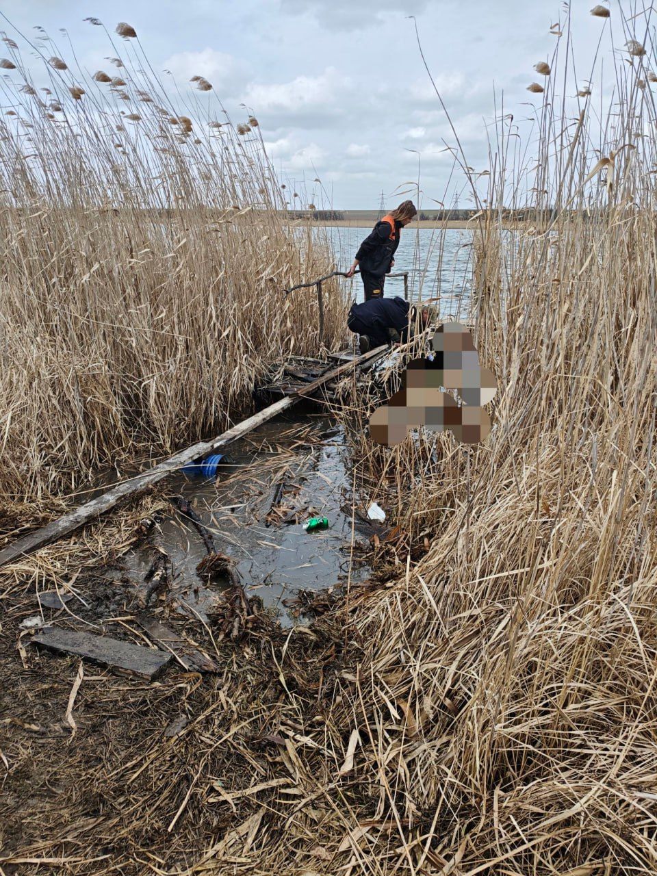 Тело девушки нашли в камышах