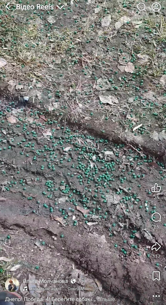 Зеленые гранулы, рассыпанные на газоне.