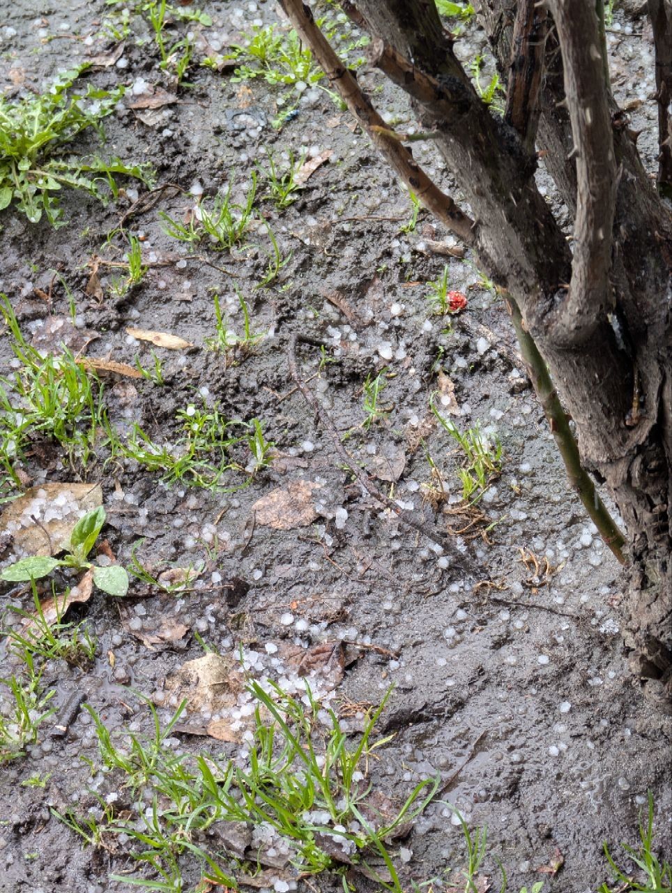 Град на земле