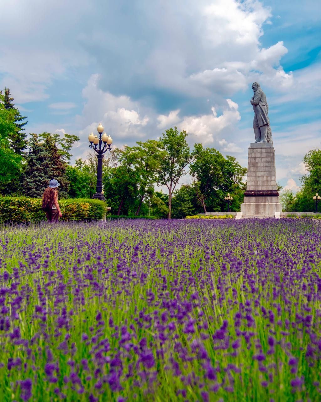 В центре Днепра расцвело лавандовое поле: волшебные фото