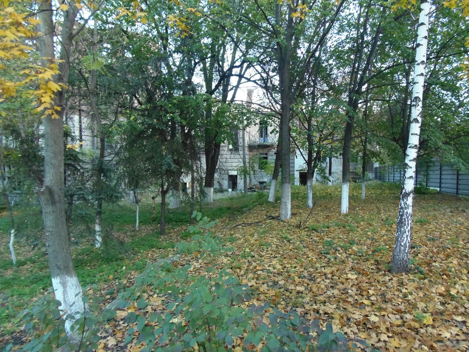 Территория заброшенной больницы Красного Креста, октябрь 2012 года.