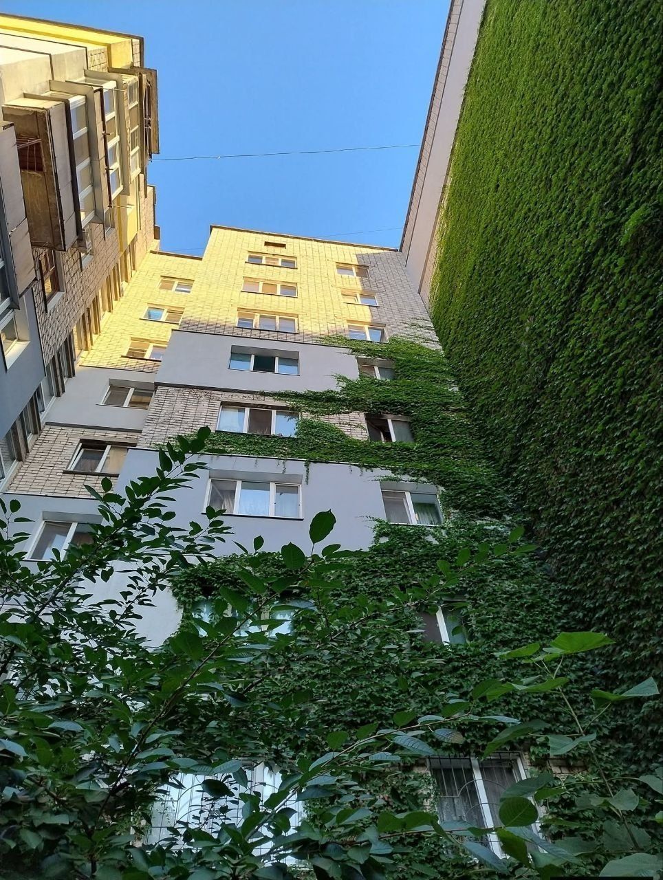фото_2026-09-06_20-24-01 Многоэтажка, которую "поглощает" зелень