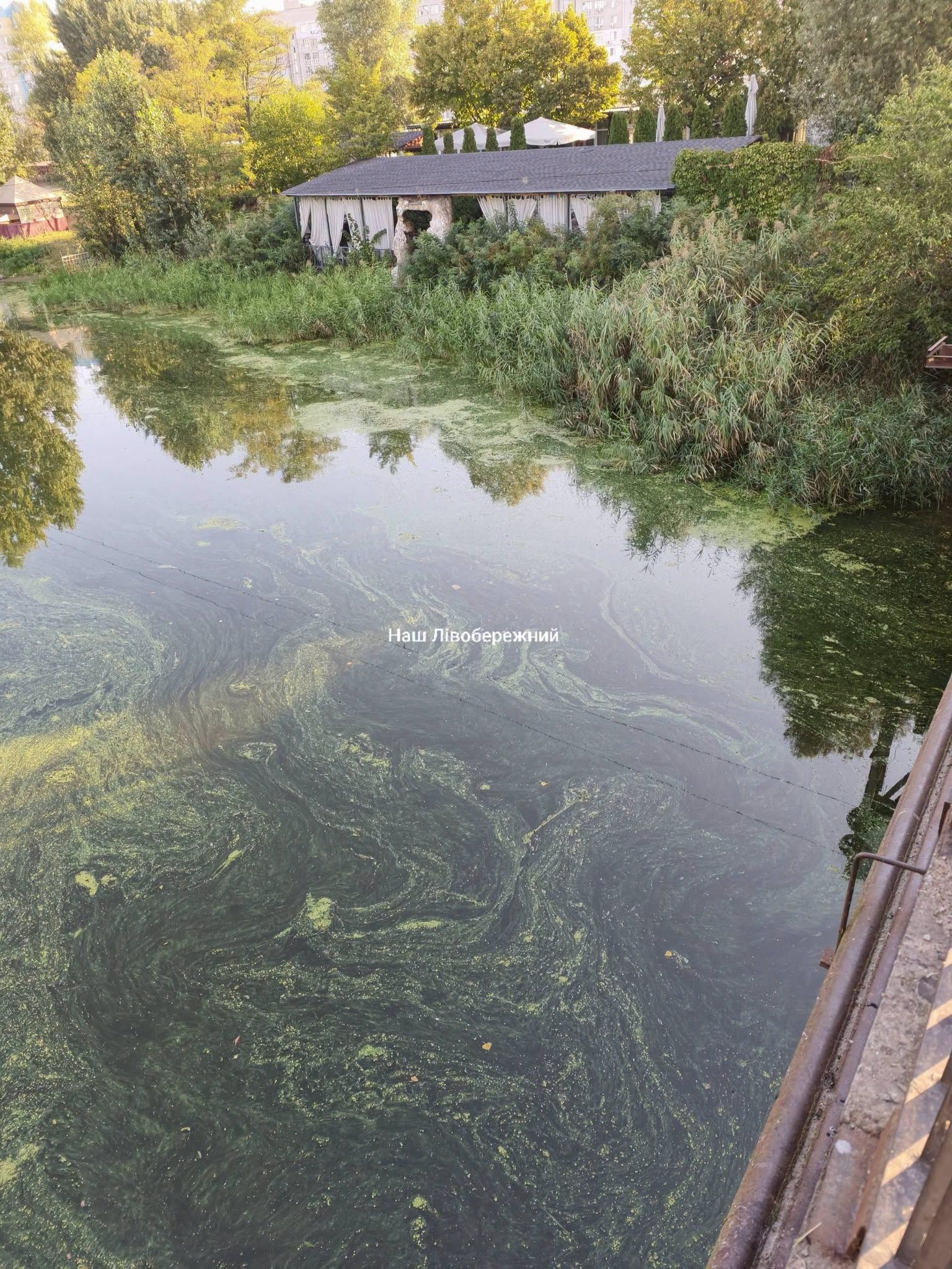 Поверхня води у дивних розводах