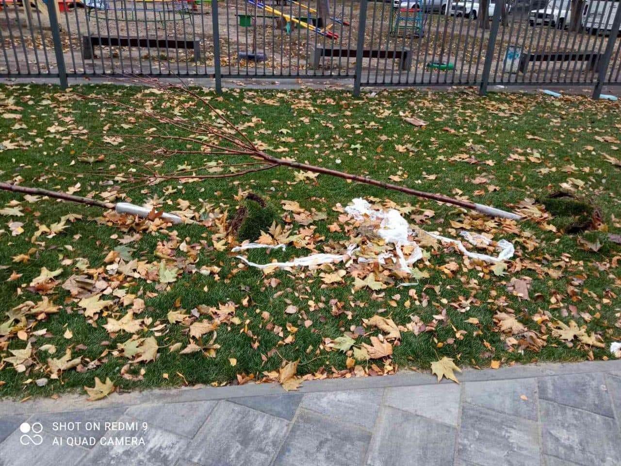 Новости Днепра про Забор не помеха: в новом сквере на Калиновой пытались украсть сакуры (ФОТО)