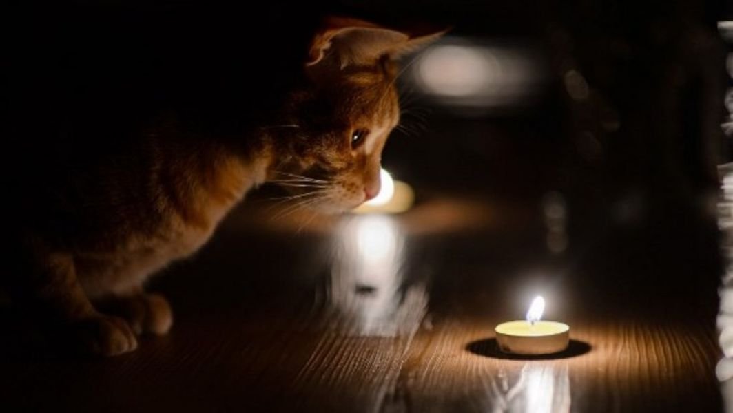 Новости Днепра про Четверг без света: кому в Днепре снова отключат электричество