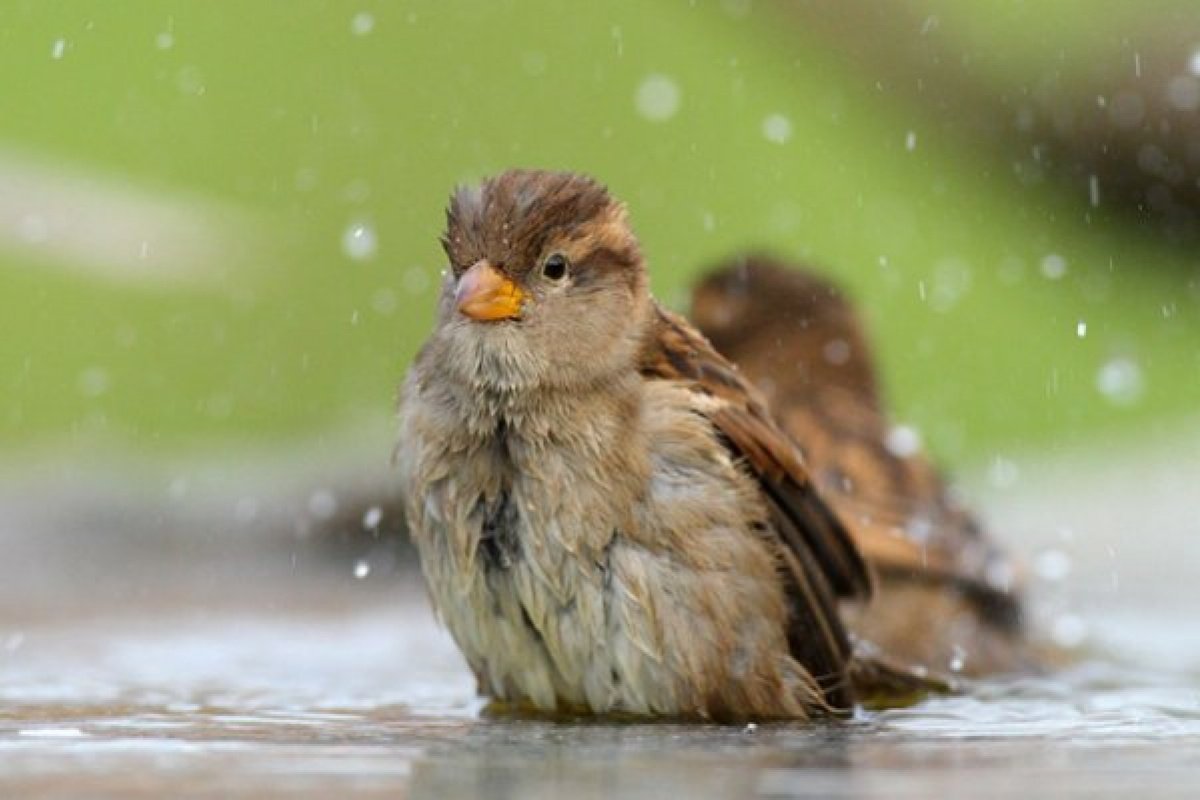 Новости Днепра про Захватите с собой зонт: сегодня в Днепре ожидается дождь