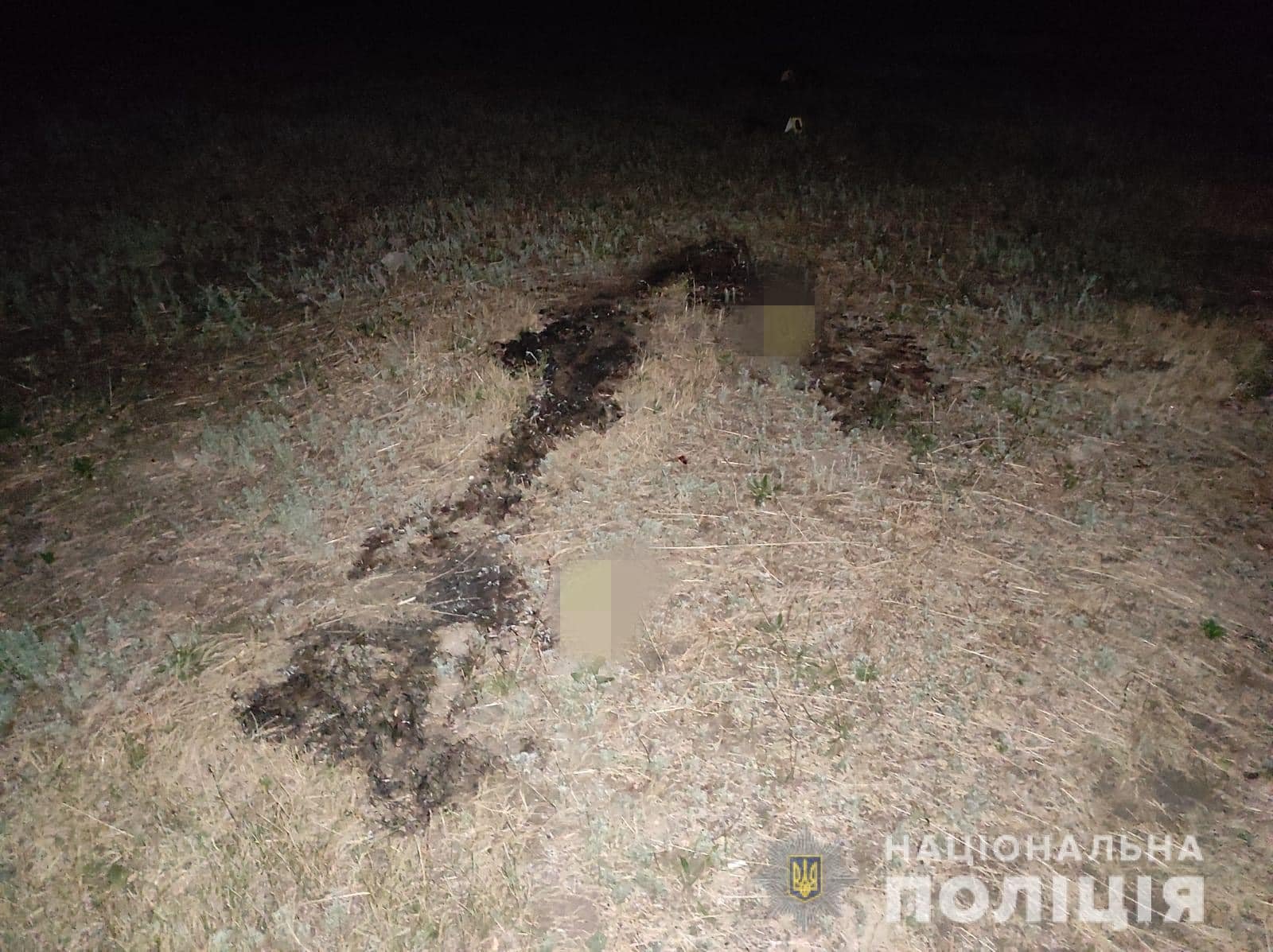 Новости Днепра про В Каменском в полицейского кинули "коктейлем Молотова": что с пострадавшим