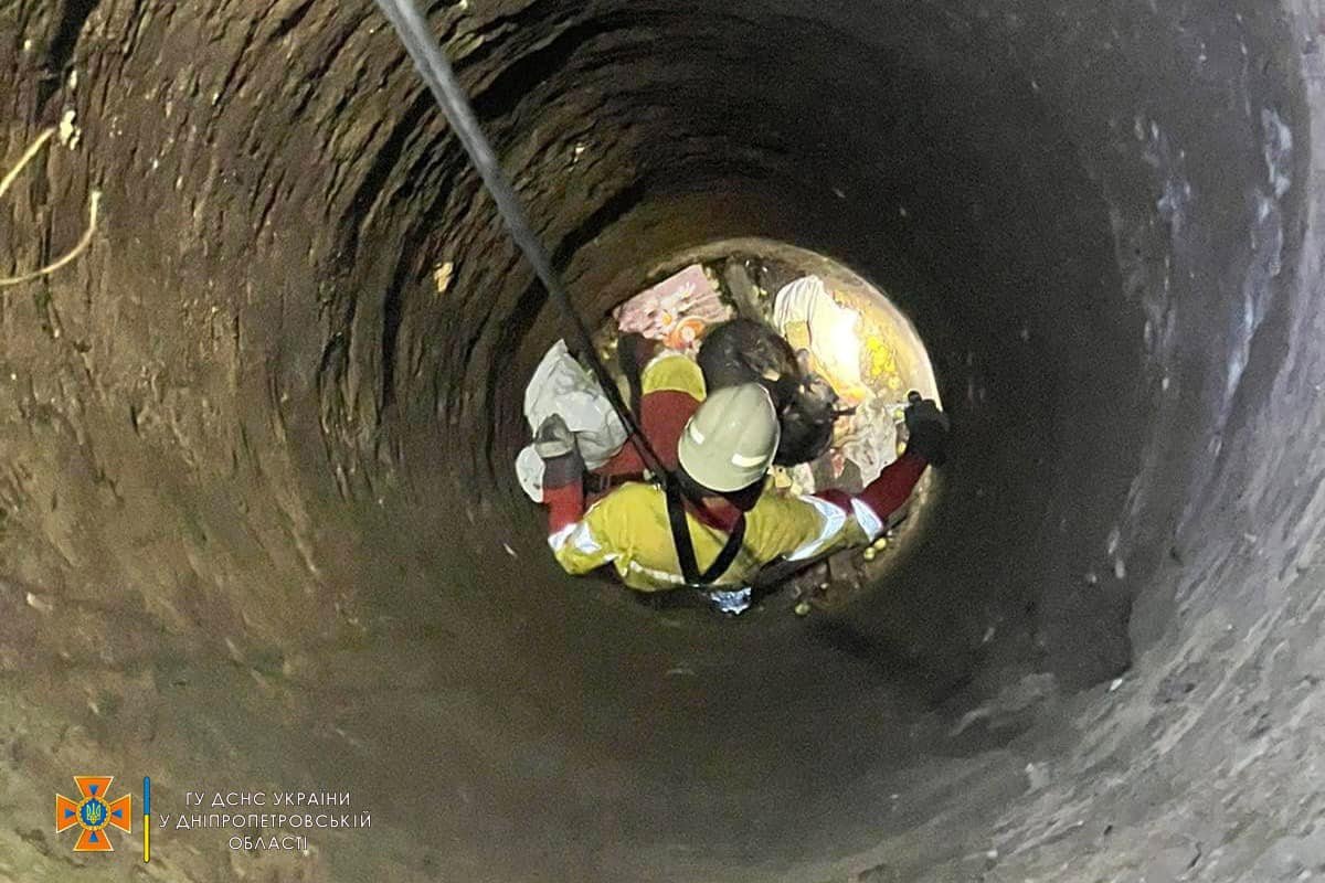 Новости Днепра про В Днепре песик упал в 15-метровый колодец: появилось видео момента спасения