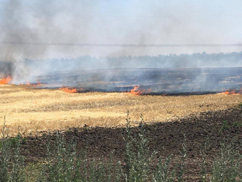 Новости Днепра про Уничтоженный урожай и блокада портов: ждет ли Днепропетровщину продовольственный кризис